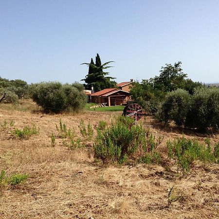 Agriturismo San Mauro Capalbio Exteriör bild