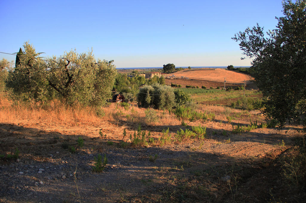 Agriturismo San Mauro Capalbio Exteriör bild